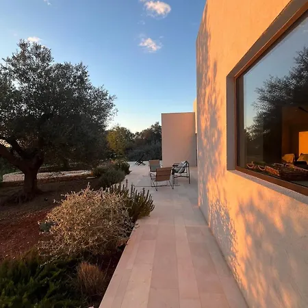 Alberovivo