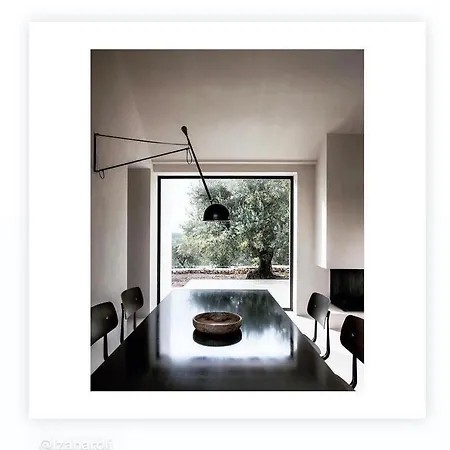 Casa vacanze Alberovivo