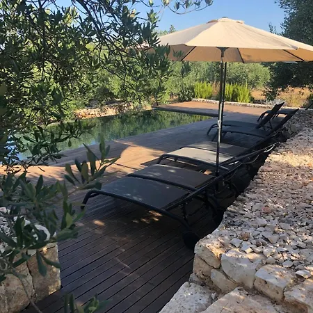 Alberovivo Holiday home Ostuni